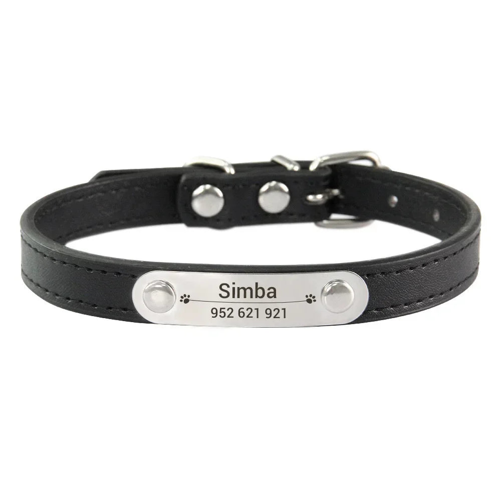Collier pour Chien Personnalisé : À vous de choisir !